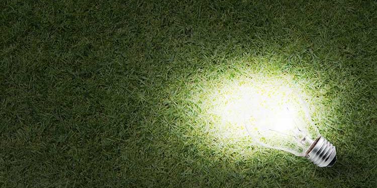 The Right Light Bulb for the Job