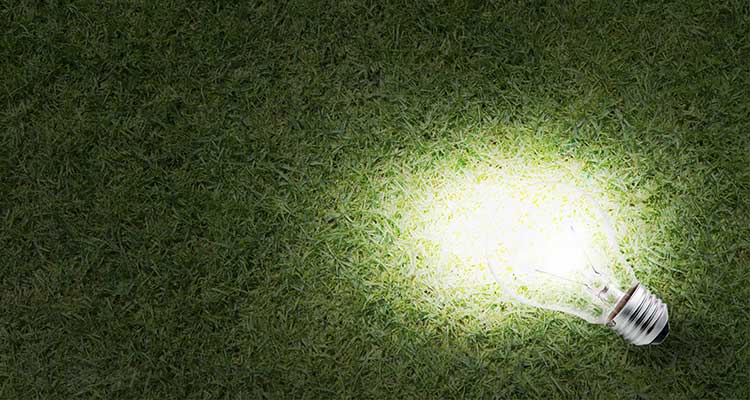 The Right Light Bulb for the Job